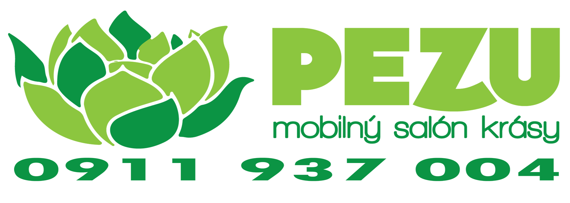 PeZu Logo